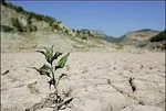 انجام بیش از ۲۷ هزار تست کرونا در مبادی مرزی ایران