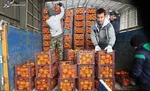 صفر تا ١٠٠ افزایش قیمت پیاز و نظارتی که باید اعمال شود