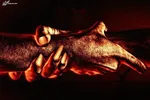 ۳ وصیت مهم امام علی (ع) قبل از شهادت