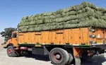 کشف ۵۰۰ کیلو گرم مواد مخدر در چابهار توسط نیروی دریایی سپاه