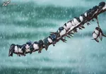 هواشناسی ایران ۱۴۰۱/۱۱/۲۹؛ تداوم بارش برف و باران در برخی مناطق/ افزایش آلودگی هوا در کلانشهر‌ها