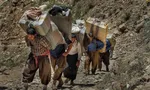 توضیح معاون وزیر کشور درباره طرح ساماندهی کوله‌بران