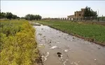 تجمع اعتراضی کشاورزان اصفهانی در اعتراض به خشکی زاینده‌رود