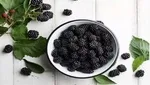 اگر مو‌های کم حجم دارید این ۷ اشتباه را مرتکب نشوید