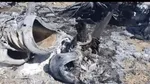 شناسنامه‌های قدیمی هر چه سریع‌تر تعویض شوند