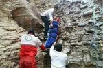 واکنش‌ها و حاشیه‌ها به ادعای جنجالی «محسن رضایی»