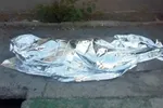 مبارزی با ده‌ها نام مستعار