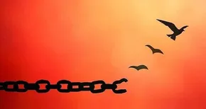 فیلم | التماس مادر قاتل به مادر الهه حسین‌نژاد مقابل دادگاه