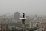 هوای پایتخت همچنان آلوده است