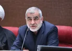نیکزاد: مجلس از انتقام حمایت می‌کند