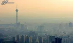با این ۷ دمنوش کرونا را از پا در آورید