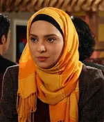 یک مقام دولتی شخصیت اصلی «بی‌نمک»