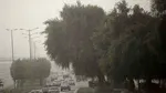 هشدار مدیریت بحران جهت احتمال وقوع تند باد لحظه‌ای در استان تهران