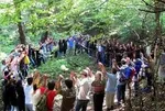 دستگیری جاعل کلاهبردار با ۶۰ شاکی در آق قلا
