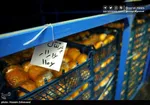 عرضه گسترده میوه شب عید تا ۱۵ فروردین