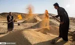 دو مدل عملیاتی برای کنترل التهاب بازار خودرو