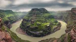 لاك‌پشت گوشت‌خوار در لرستان+عکس