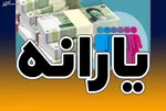 بانک‌های اطلاعاتی خانوار‌ها برای یارانه در حال تکمیل است