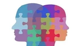 تصاویری از عاشقانه زوج پنگوئن