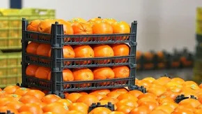 گزارش تصویری | آیین گرامیداشت جشن جهانی نوروز ۱۴۰۴