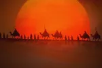ویژه‌برنامه‌های شبکه دو در سوگ سید و سالار شهیدان