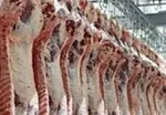 جدول قیمت روز گوشی موبایل در ۲۵ آبان
