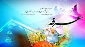 تصاویر / دعای عرفه در صحرای عرفات