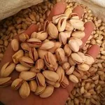 نرخ انواع میوه در بازار/ هر کیلو انگور بی دانه ۱۵ هزار تومان