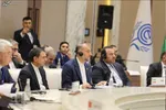 امیرعبداللهیان: ایران می‌تواند شریک مهمی برای بریکس باشد + فیلم