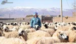 قیمت گوشت قرمز امروز ۳۰ آبان