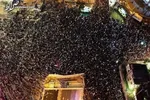 ادعای نتانیاهو: موشک‌های ایران قادر به رسیدن به اروپا هستند