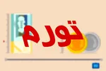 انجمن مرغداران: تهران صادرکننده مرغ به سایر استان‌ها نیست