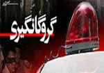 آدم ربایی نافرجام در تهران