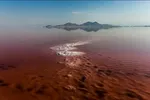 ۸ بلایی که نمک بر سر بدنتان می‌آورد
