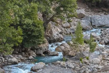 تصاویر | دیناران نگین سبز جنگل‌های بلوط زاگرس