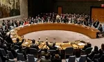 پاسخ مصباحی‌مقدم به گمانه دلار ۴۰هزار تومانی با انتخاب رئیسی