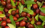 پایان بی‌خوابی و اضطراب با یک میوه خاص!