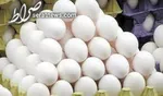 قیمت کالا‌های اساسی در هفته اول دی