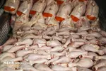 قیمت هر شیشه روغن زیتون ۹۰ هزار تومان
