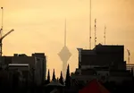 نجات پلنگ از چنگ سگ‌های گله