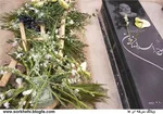 گفت‌وگوی تلفنی روحانی با آنگلا مرکل