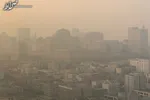 با این موادغذایی از آسیب‌های آلودگی هوا در امان بمانید
