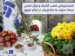 عرضه خودروهای وارداتی آغاز شد