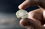 مصرف هر روز پودر پروتئین با بدن شما چه می‌کند؟