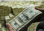 رئیس انجمن واردکنندگان برنج: ثبت سفارش واردات برنج هنوز باز نشده/ارز واردات برنج مشخص نیست