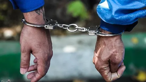 فیلم| دستگیری فردی با رفتار هنجارشکنانه در یک لایو اینستاگرامی