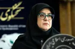 مهاجرانی: کارت جایگاه‌ها کانال اصلی قاچاق بنزین بودند