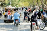 قیمت طرح ترافیک ۲۰ درصد گران می‌شود