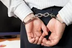 توزیع گوشت مرغ تنظیم بازار آغاز شد