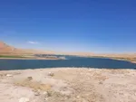 شوک باستان‌شناسی؛ مومیایی اینکا جعلی از آب در آمد!